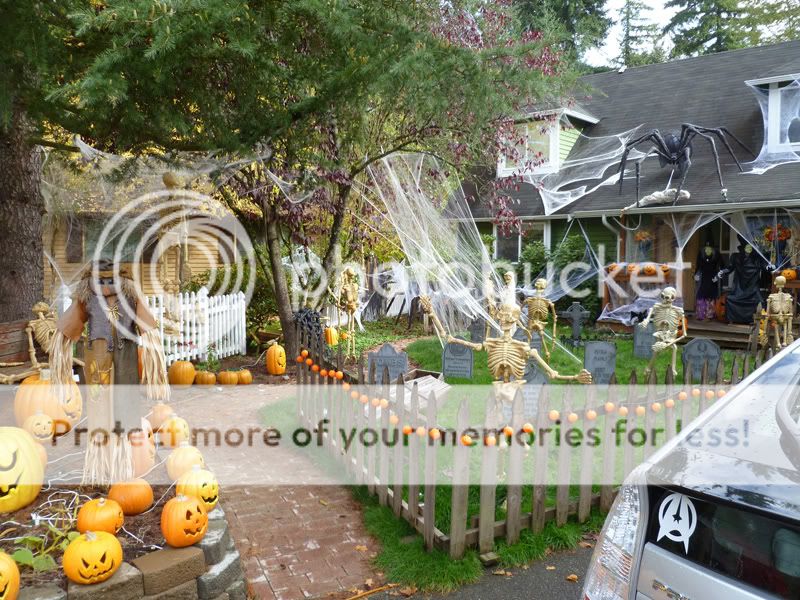 Other Mill Creek Haunted Hollow is almost completely set up