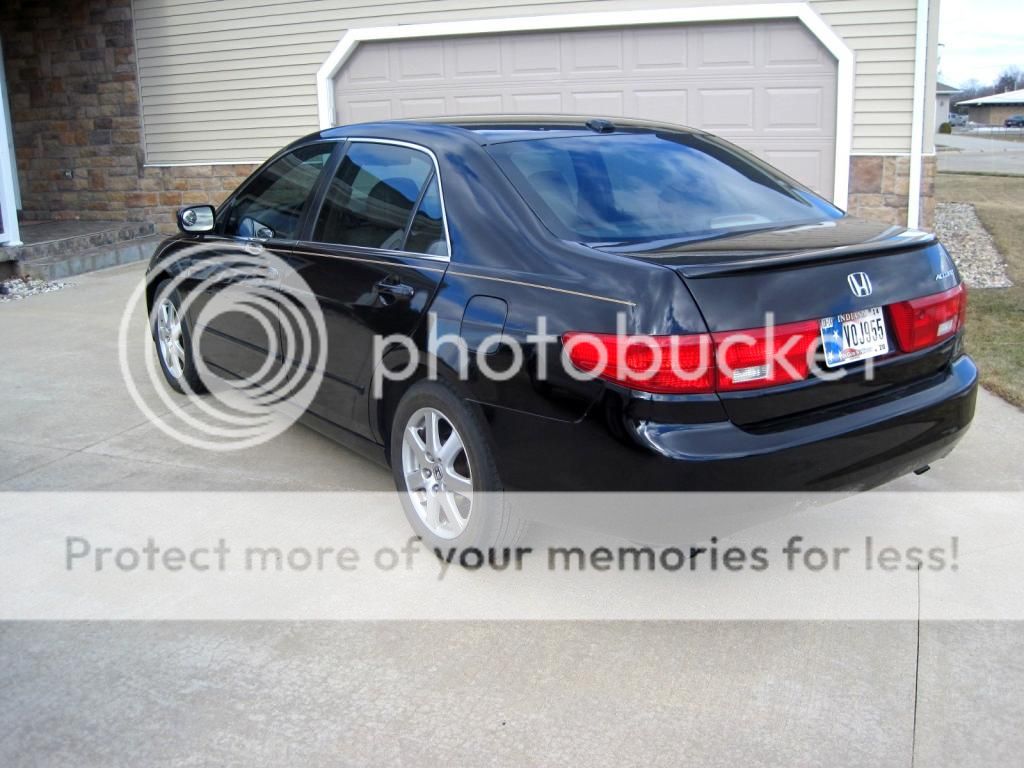 IMG_1555_zpsef5bcf59.jpg