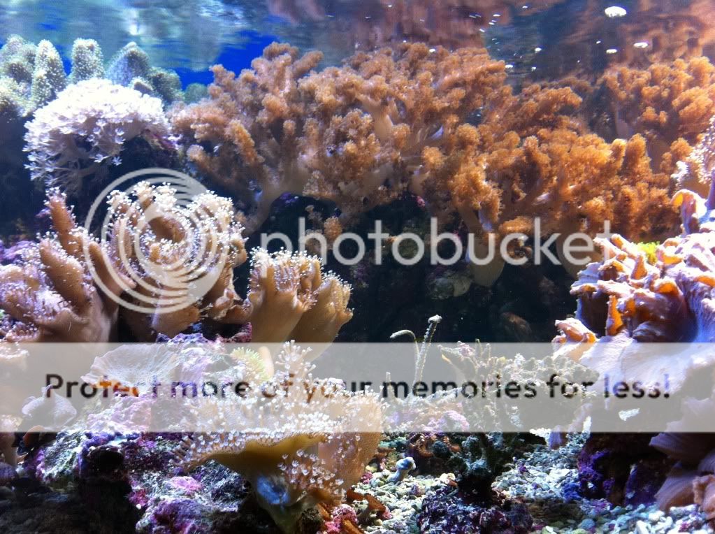 IMG_0571.jpg