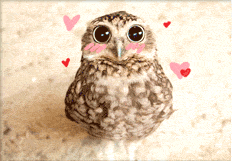 CL-profile-owl3_zpsviagsjei.gif