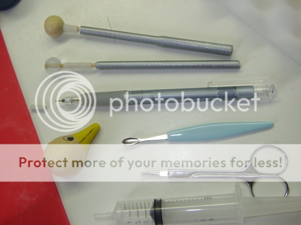 http://i977.photobucket.com/albums/ae254/JaantjeB/DSC03551.jpg