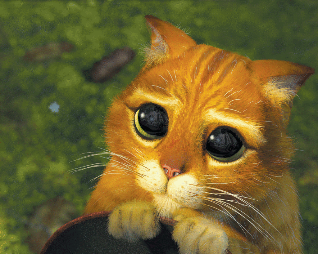 [Image: pleasekitty.gif]