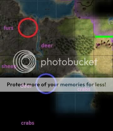 [Image: waterbat1.jpg]